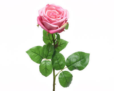 Květina RŮŽE KVĚT XL 68 cm - sv. růžová, KSD