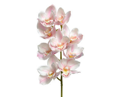 Orchidej, 71cm, světle růžová, KSD