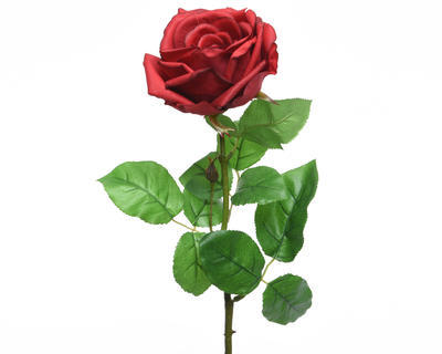 Růže, 68cm, červená, Kaemingk