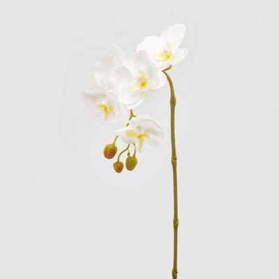 Květina ORCHIDEJ 70 cm - bílo/žlutá, EDG