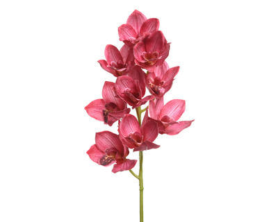 Orchidej, 71cm, fuchsia, Kaemingk