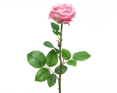 Růže , světle růžová, 66cm, KSD