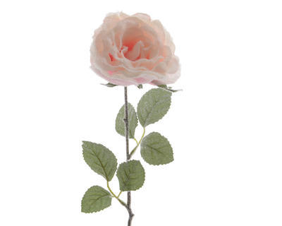 Květina RŮŽE, zasněžená, 45cm, světle růžová, KSD