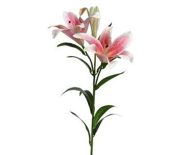 Květina LILIE, 3 květy - růžová, 90cm
, KSD