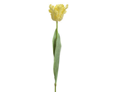 Tulipán, 68cm, světle žlutý, KSD