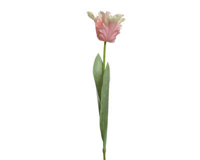 Tulipán, 68cm, světle růžový, KSD