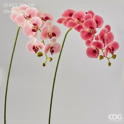Květina ORCHIDEJ PHALAENOPSIS CHIC 100 cm - růžová, EDG
