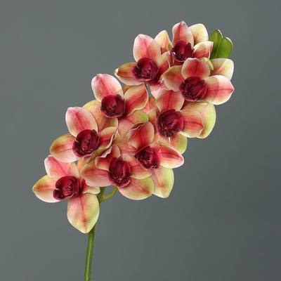 Květina stonek ORCHIDEJ CYMBIDIE 84 cm - vínová/oranžová, DPI