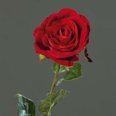 Květina RŮŽE SAMET 61 cm - červená, DPI