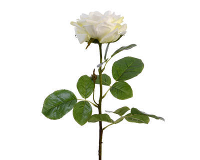 Květina RŮŽE, 68cm, bílá, KSD