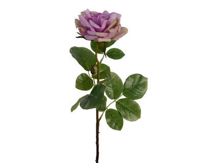 Květina RŮŽE, 68cm, fialová, KSD