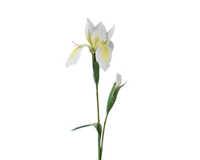 Iris, 78 cm, bílý, KSD