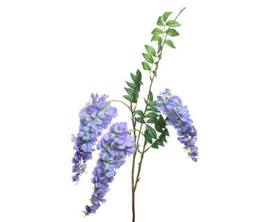 Rostlina VISTÁRIE 93 cm - modrá, KSD