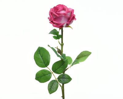 Květina RŮŽE KVĚT 66 cm - tm. růžová, KSD
