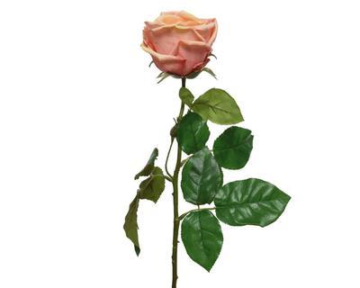 Růže, 68cm, broskvová, Kaemingk