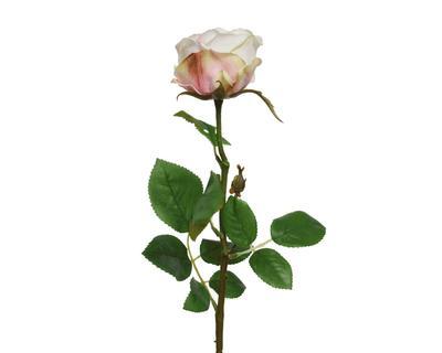 Růže, 66cm, krémová, Kaemingk