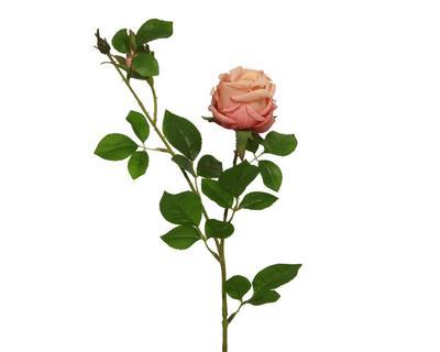 Růže s poupětem, 62cm, broskvová, KSD