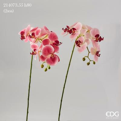 Květina ORCHIDEJ PHALAENOPSIS CHIC 80 cm - růžová, EDG