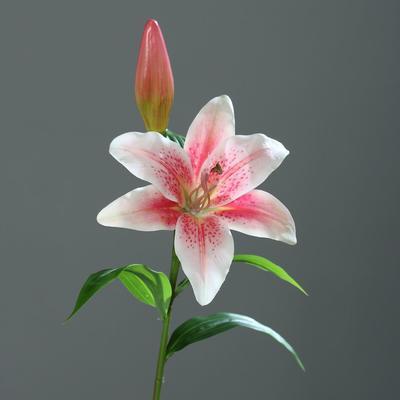 Květina LILIE 50 cm - růžová/krémová, DPI
