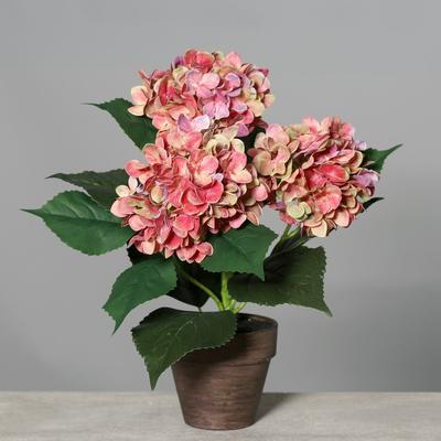Květina v květináči HORTENZIE 38 cm - růžová, DPI