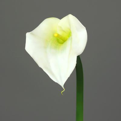 Květina KALA 68 cm - zelená/krémová, DPI