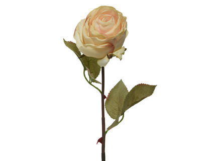 Růže, 61 cm, bílo/růžová, KSD - 1