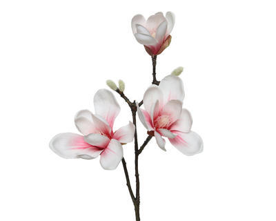 Magnolie, 50cm, světle růžová, Kaemingk