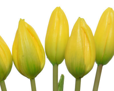 Svazek tulipánů. 10x10x40cm, žlutá, KSD - 2