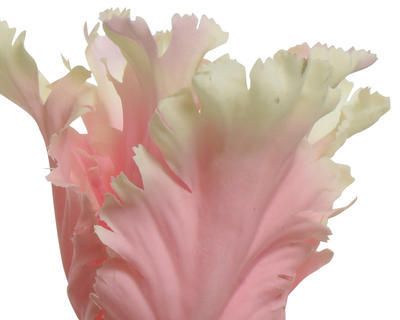 Tulipán, 68cm, světle růžový, KSD - 2