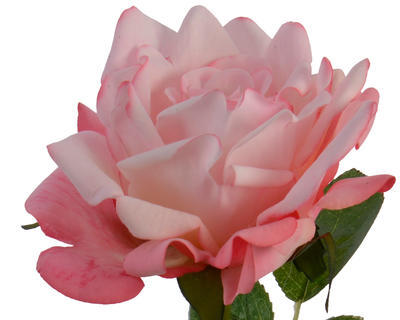 Květina RŮŽE, 68cm, růžová, KSD - 2