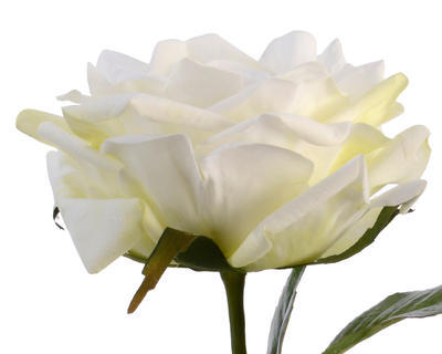 Květina RŮŽE, 68cm, bílá, KSD - 2